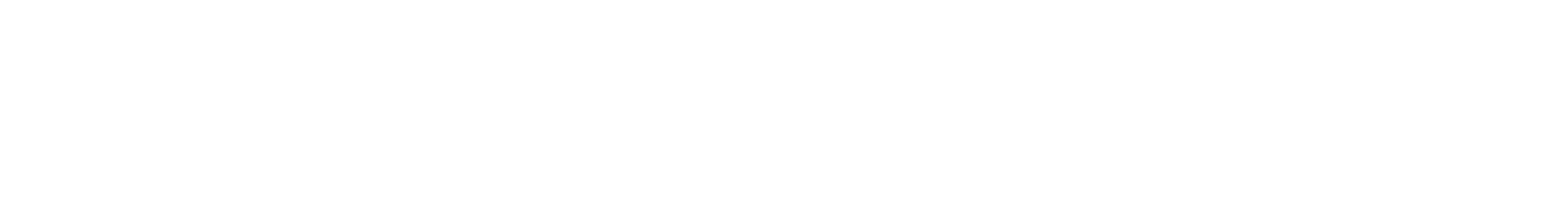 World's biggest new year festival